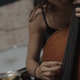 Image for article titled The Dodos teamed up with Magik Magik Orchestra for a lovely new video